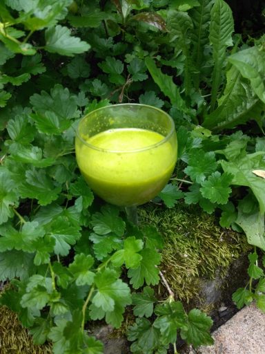 Jus de légumes