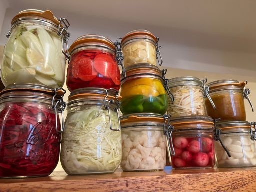 Lactofermentation en cours...